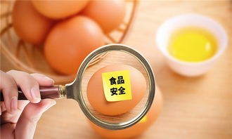 外貿進口出貨全流程解析與技術咨詢要點